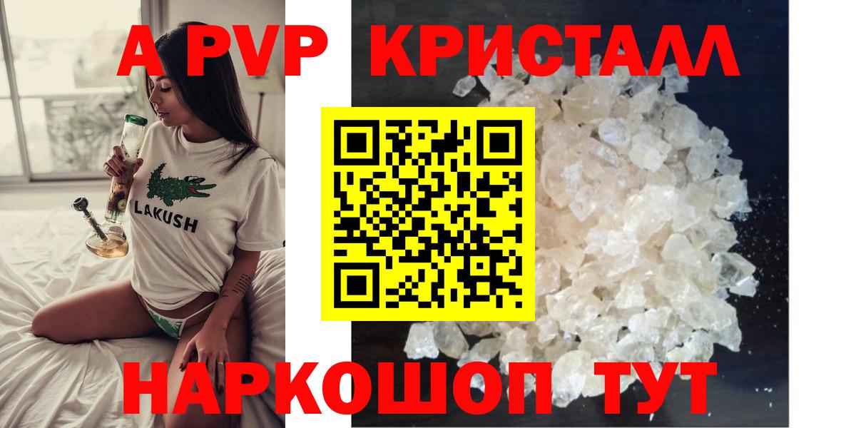 A PVP СК КРИС  Альфа ПВП  Аргун  Вход с VPN 